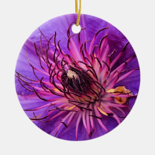 CLEMATIS KERAMISCH ORNAMENT (Voorkant)