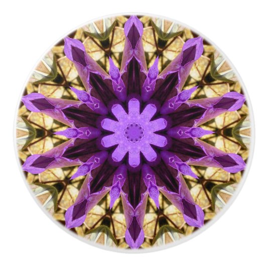 CLEMATIS KERAMISCHE KNOP (Voorkant)