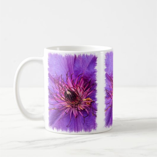CLEMATIS KOFFIEMOK (Links)
