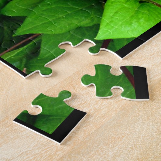 Clematis Legpuzzel (Zijkant)