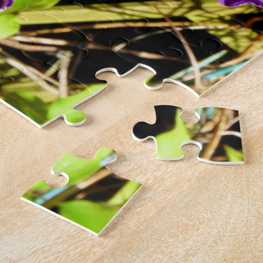 CLEMATIS LEGPUZZEL (Zijkant)