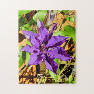 CLEMATIS LEGPUZZEL