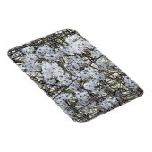 CLEMATIS MAGNEET (Rechterzijde)