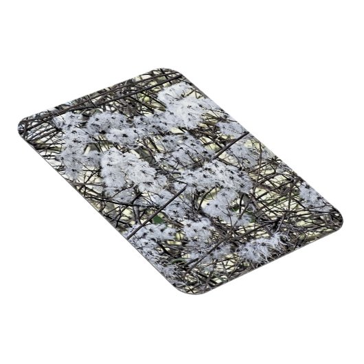 CLEMATIS MAGNEET (Rechterzijde)