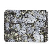 CLEMATIS MAGNEET (Horizontaal)