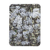 CLEMATIS MAGNEET (Verticaal)