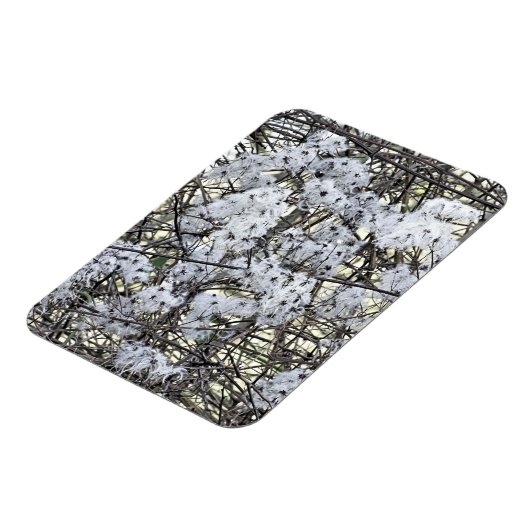 CLEMATIS MAGNEET (Linkerzijde)