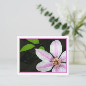 Clematis met bladeren briefkaart (Staand voorkant)