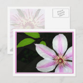 Clematis met bladeren briefkaart (Voorkant / Achterkant)