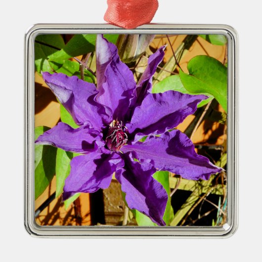 CLEMATIS METALEN ORNAMENT (Voorkant)