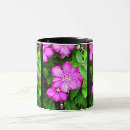 Clematis Mok (Midden)