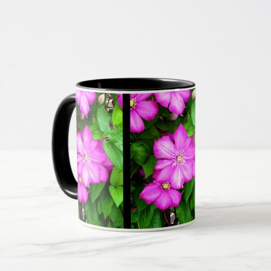 Clematis Mok (Voorkant links)