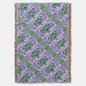 Clematis Paars Deken (Voorkant Verticaal)