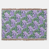 Clematis Paars Deken (Voorkant)
