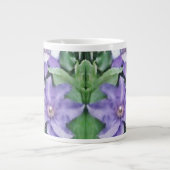 Clematis Paars Grote Koffiekop (Voorkant)