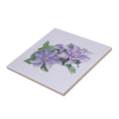 Clematis Paars Tegeltje (Zijkant)