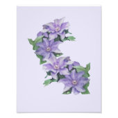 Clematis Paarse fotovergroting Foto Afdruk (Voorkant)