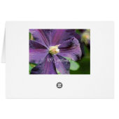 Clematis Paarse ventilatorKaart (Achterkant Horizontaal)