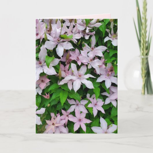 Clematis Paarse Vining Flower op Trellis Blank Kaart (Voorkant)
