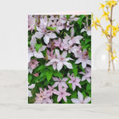 Clematis Paarse Vining Flower op Trellis Blank Kaart (Gele Bloem)