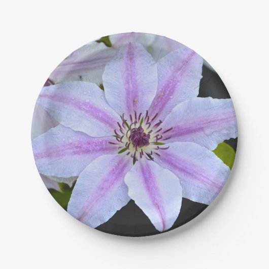 Clematis Paper-Bord Papieren Bordje (Voorkant)