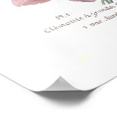 Clematis patens poster (Hoek)