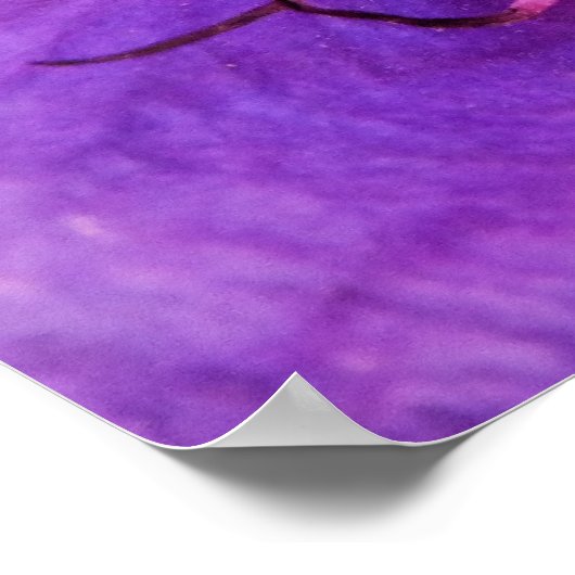 CLEMATIS POSTER (Hoek)