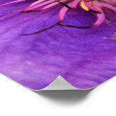 CLEMATIS POSTER (Hoek)