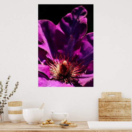 Clematis Poster (Keuken)