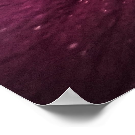 Clematis Poster (Hoek)