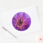 CLEMATIS RONDE STICKER (Envelop)