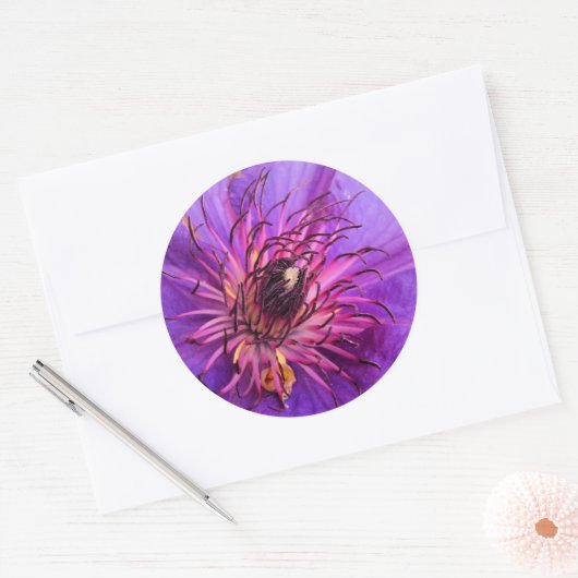 CLEMATIS RONDE STICKER (Envelop)