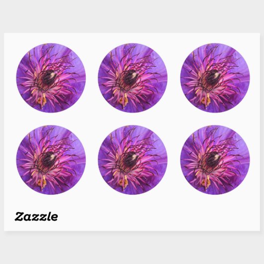 CLEMATIS RONDE STICKER (Vel)