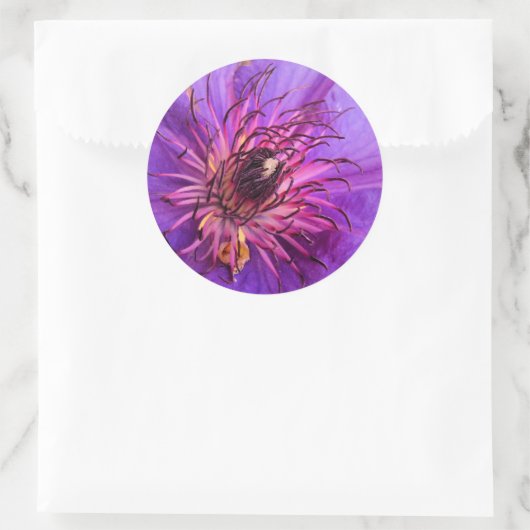 CLEMATIS RONDE STICKER (Tas)