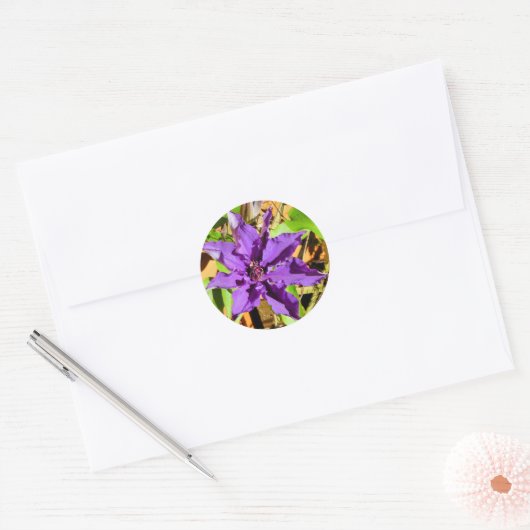 CLEMATIS RONDE STICKER (Envelop)