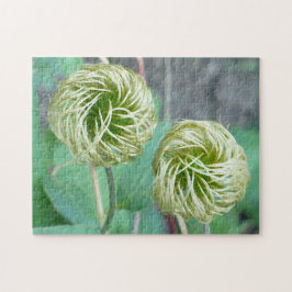 Clematis Seed Head Legpuzzel
