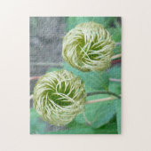 Clematis Seed Head Legpuzzel (Verticaal)