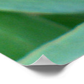 Clematis Seed Head Poster (Hoek)