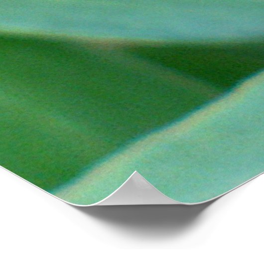 Clematis Seed Head Poster (Hoek)