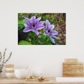 Clematis Spring Poster (Keuken)