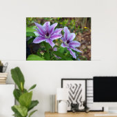 Clematis Spring Poster (Thuiskantoor)