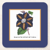 Clematis Star van India Botanische illustratie Kartonnen Onderzetters (Voorkant)