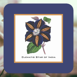 Clematis Star van India Botanische illustratie Kartonnen Onderzetters