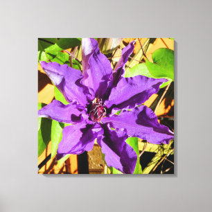 CLEMATIS-STROOM CANVAS AFDRUK