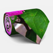 Clematis Stropdas (Opgerold)