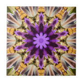 CLEMATIS TEGELTJE (Voorkant)