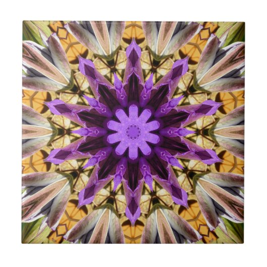 CLEMATIS TEGELTJE (Voorkant)