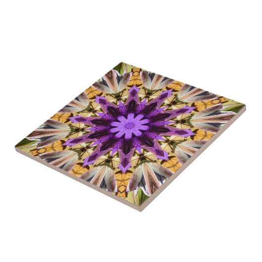 CLEMATIS TEGELTJE (Zijkant)