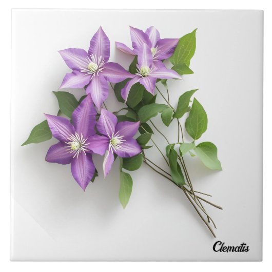 Clematis Tegeltje (Voorkant)