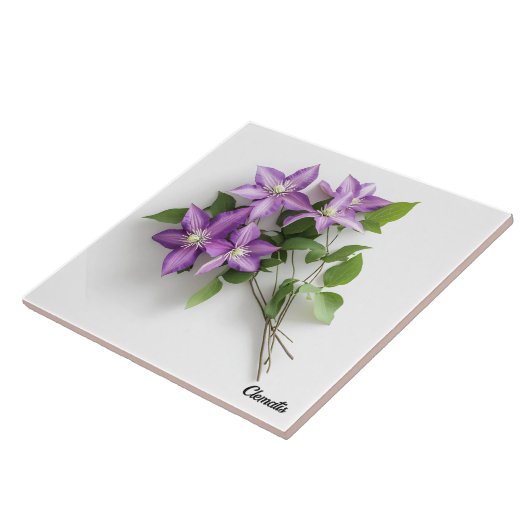 Clematis Tegeltje (Zijkant)